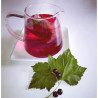 Infusion de Cassis